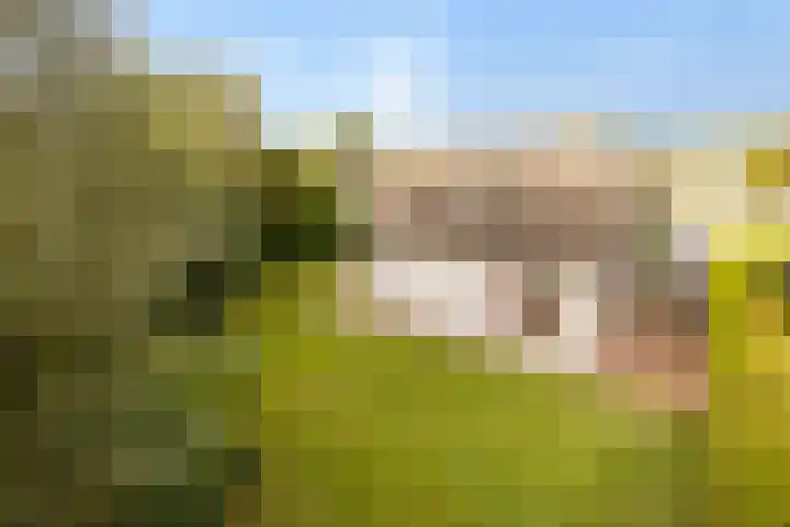 Noordzeepark-Grevelingen 29 Ouddorp thumbnail 30