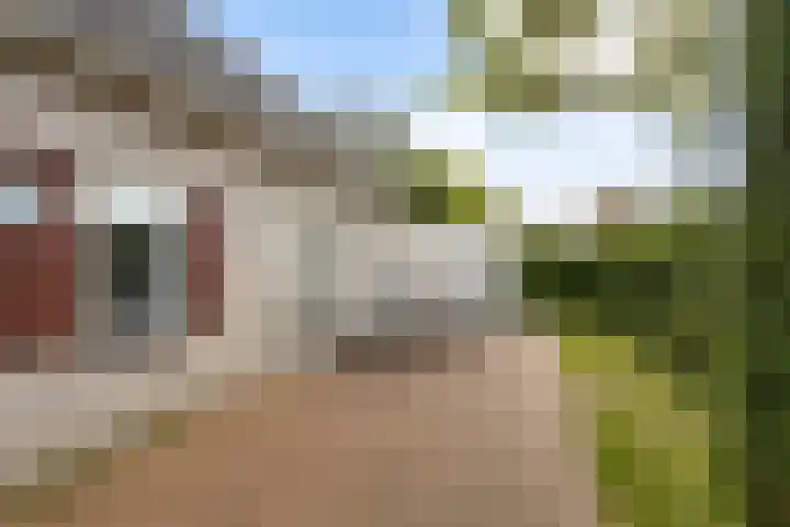 Noordzeepark-Grevelingen 29 Ouddorp thumbnail 33