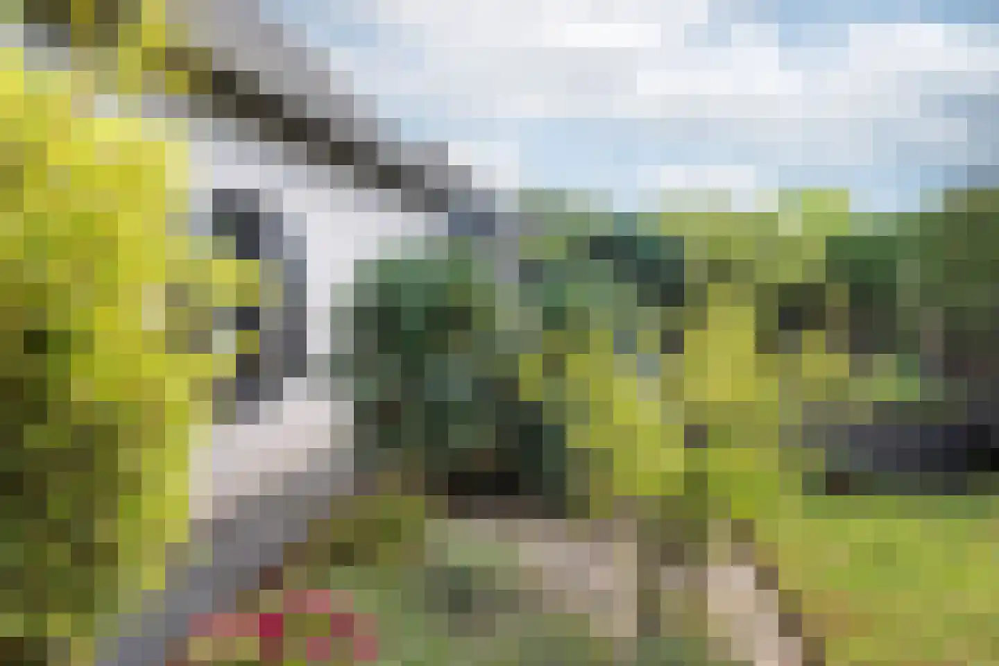 Noordzeepark-Grevelingen 39 Ouddorp thumbnail 37
