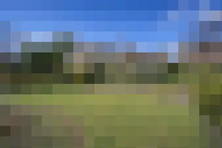 Noordzeepark-Grevelingen 71 Ouddorp thumbnail 20