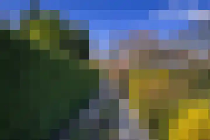 Noordzeepark-Grevelingen 71 Ouddorp thumbnail 21