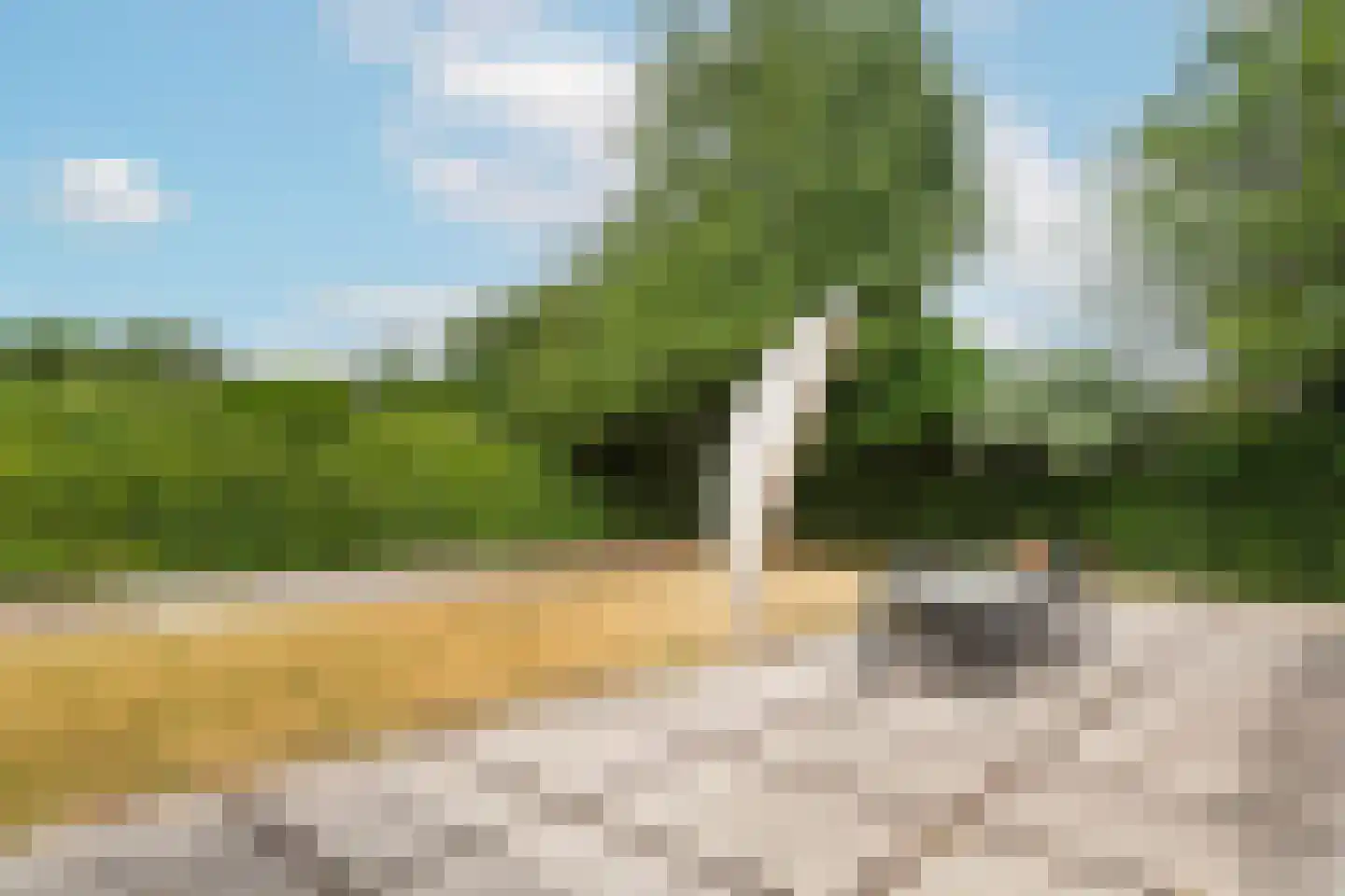 Noordzeepark-Grevelingen 8 Ouddorp thumbnail 32