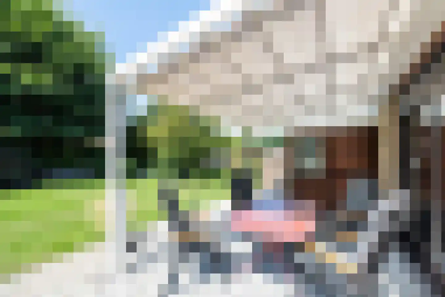 Noordzeepark-Haringvliet 131 Ouddorp thumbnail 27