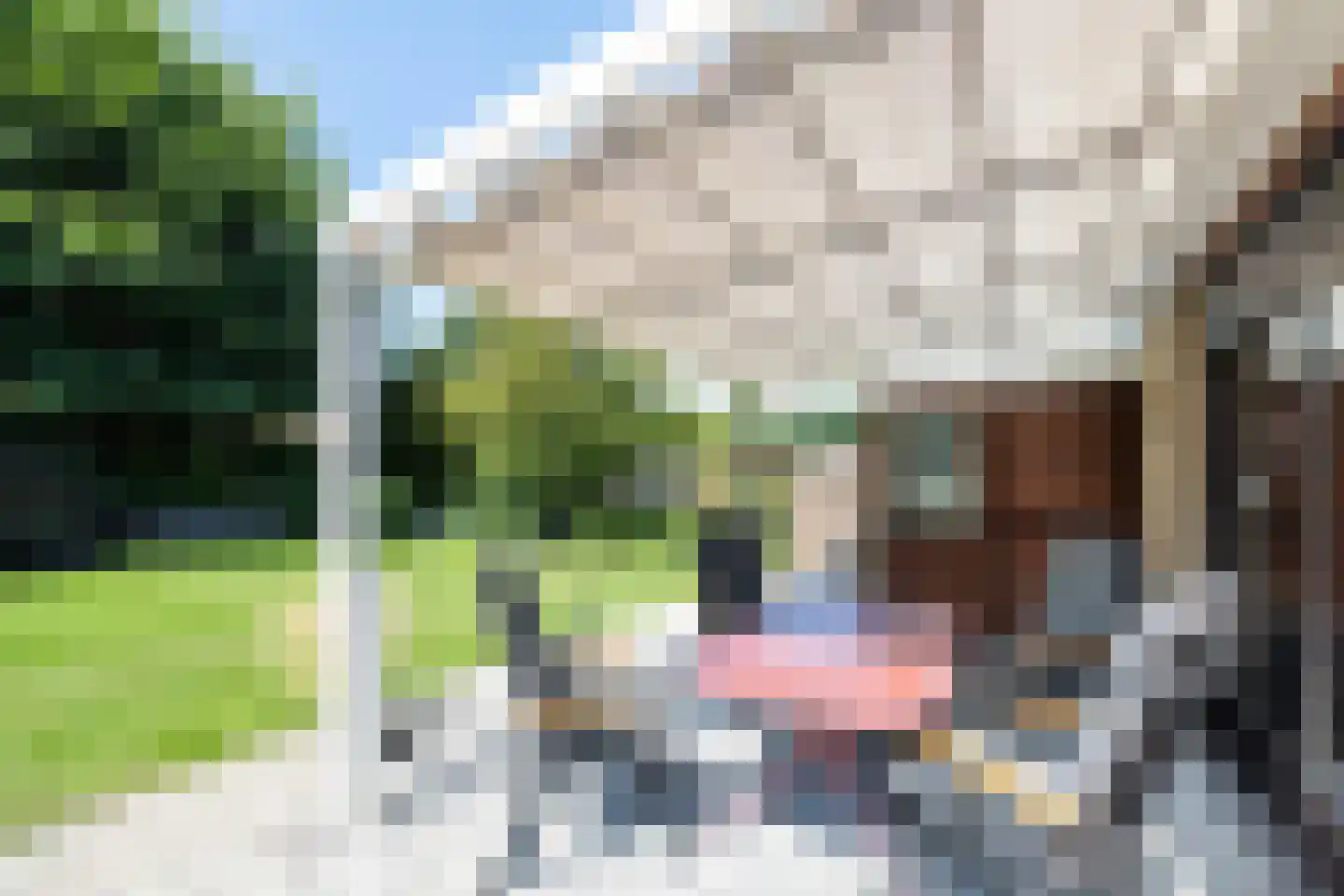 Noordzeepark-Haringvliet 131 Ouddorp thumbnail 32