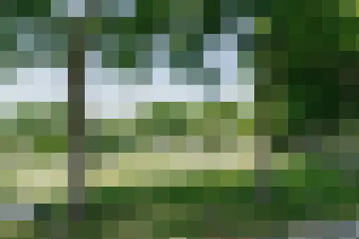 Noordzeepark-Haringvliet 20 Ouddorp thumbnail 52