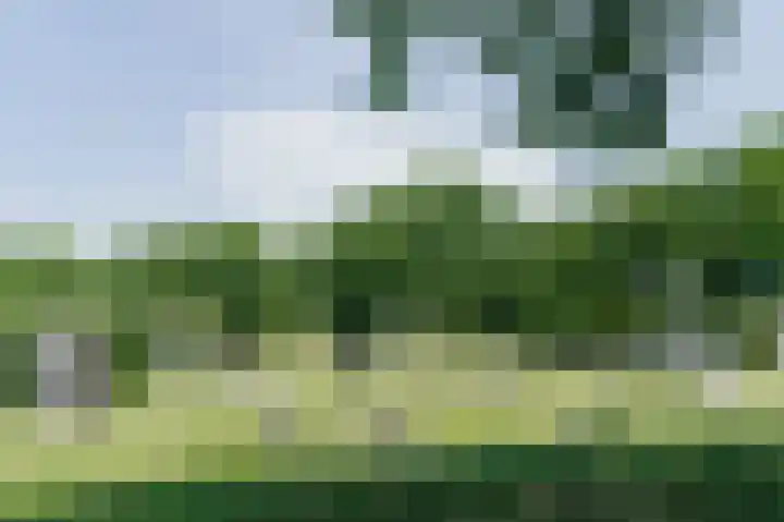 Noordzeepark-Haringvliet 20 Ouddorp thumbnail 53