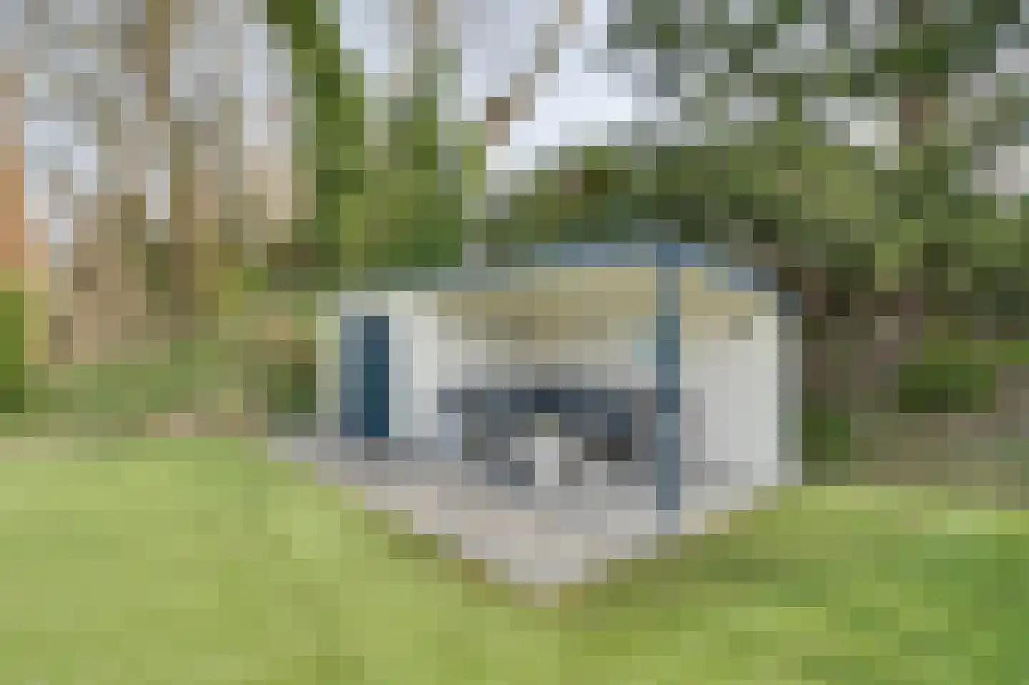 Noordzeepark-Haringvliet 31 Ouddorp thumbnail 24