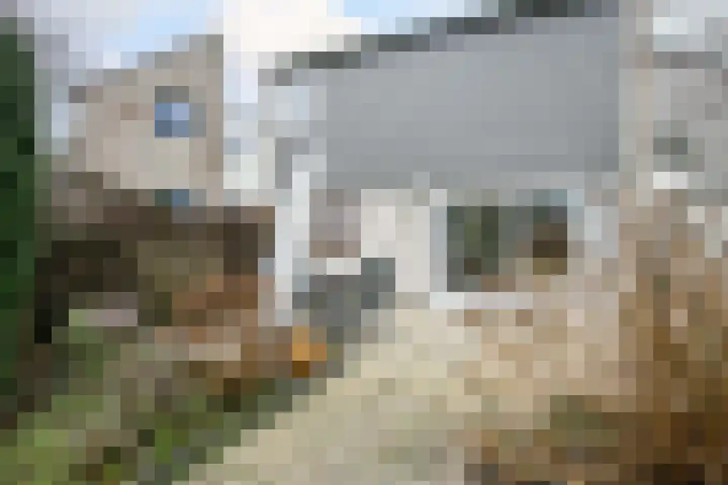 Noordzeepark-Haringvliet 63 Ouddorp thumbnail 27