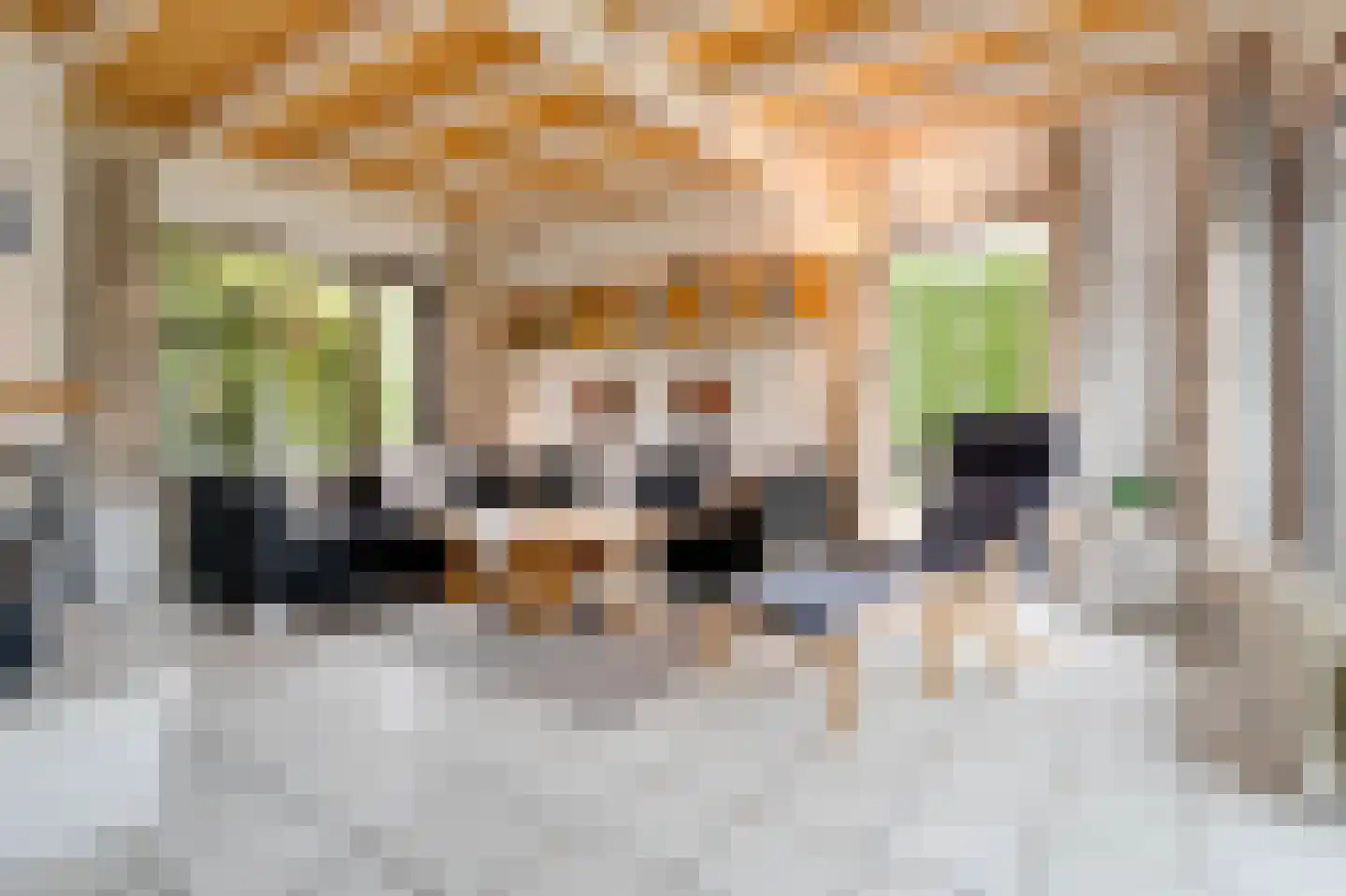 Noordzeepark-Mosselbank 12 Ouddorp thumbnail 6
