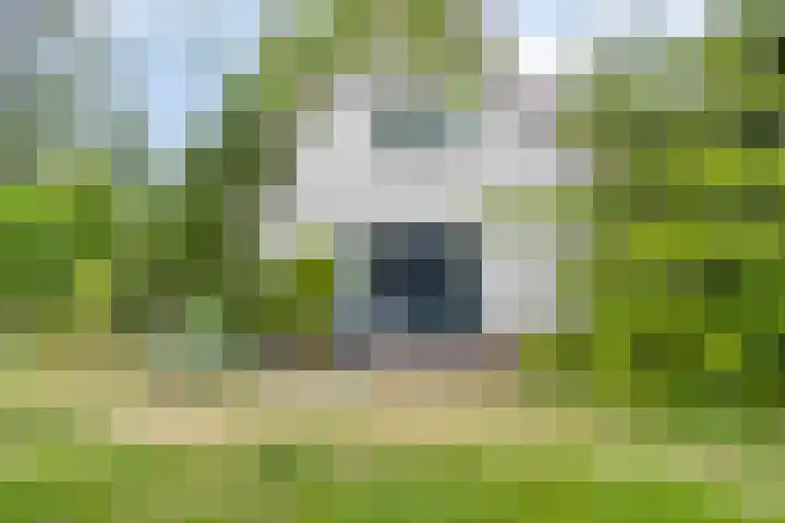 Noordzeepark-Mosselbank 40 Ouddorp thumbnail 18