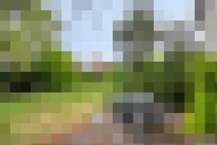 Noordzeepark-Mosselbank 40 Ouddorp thumbnail 20