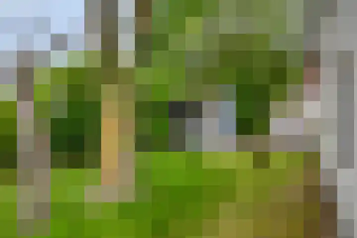 Noordzeepark-Mosselbank 40 Ouddorp thumbnail 22