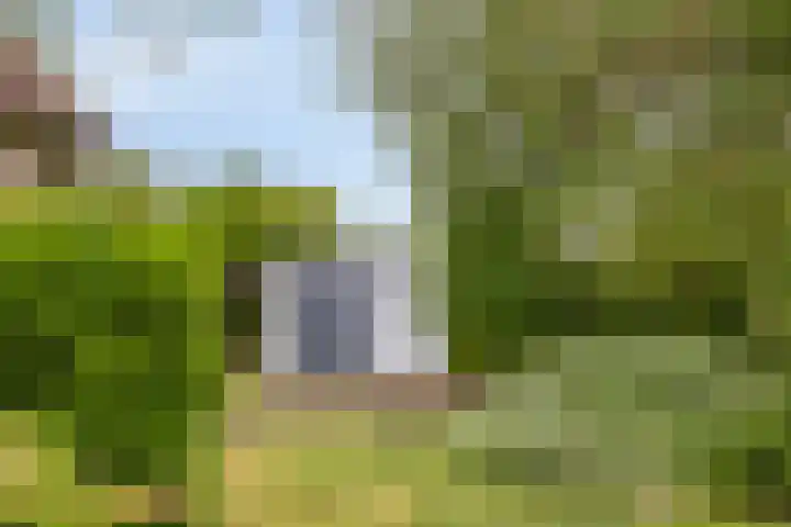 Noordzeepark-Mosselbank 40 Ouddorp thumbnail 23