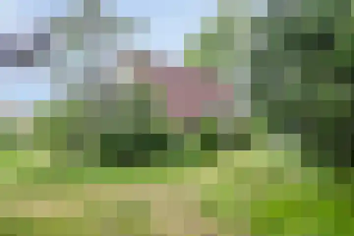Noordzeepark-Mosselbank 40 Ouddorp thumbnail 26