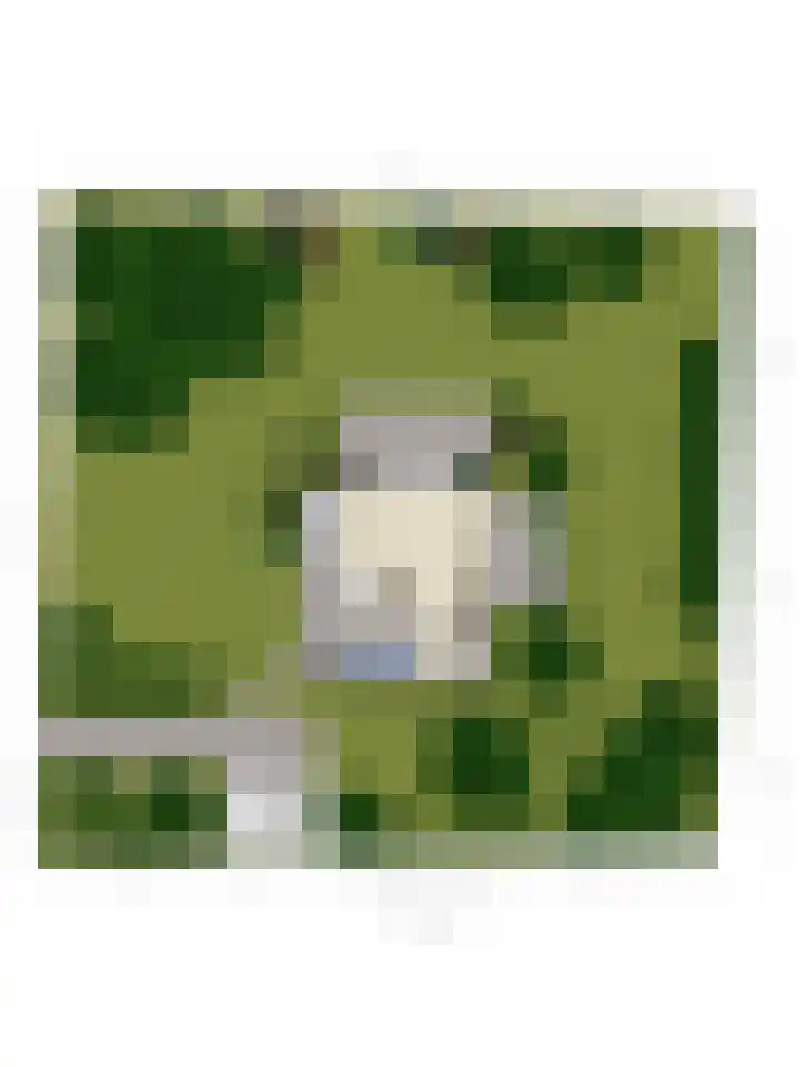 Noordzeepark-Mosselbank 40 Ouddorp thumbnail 30