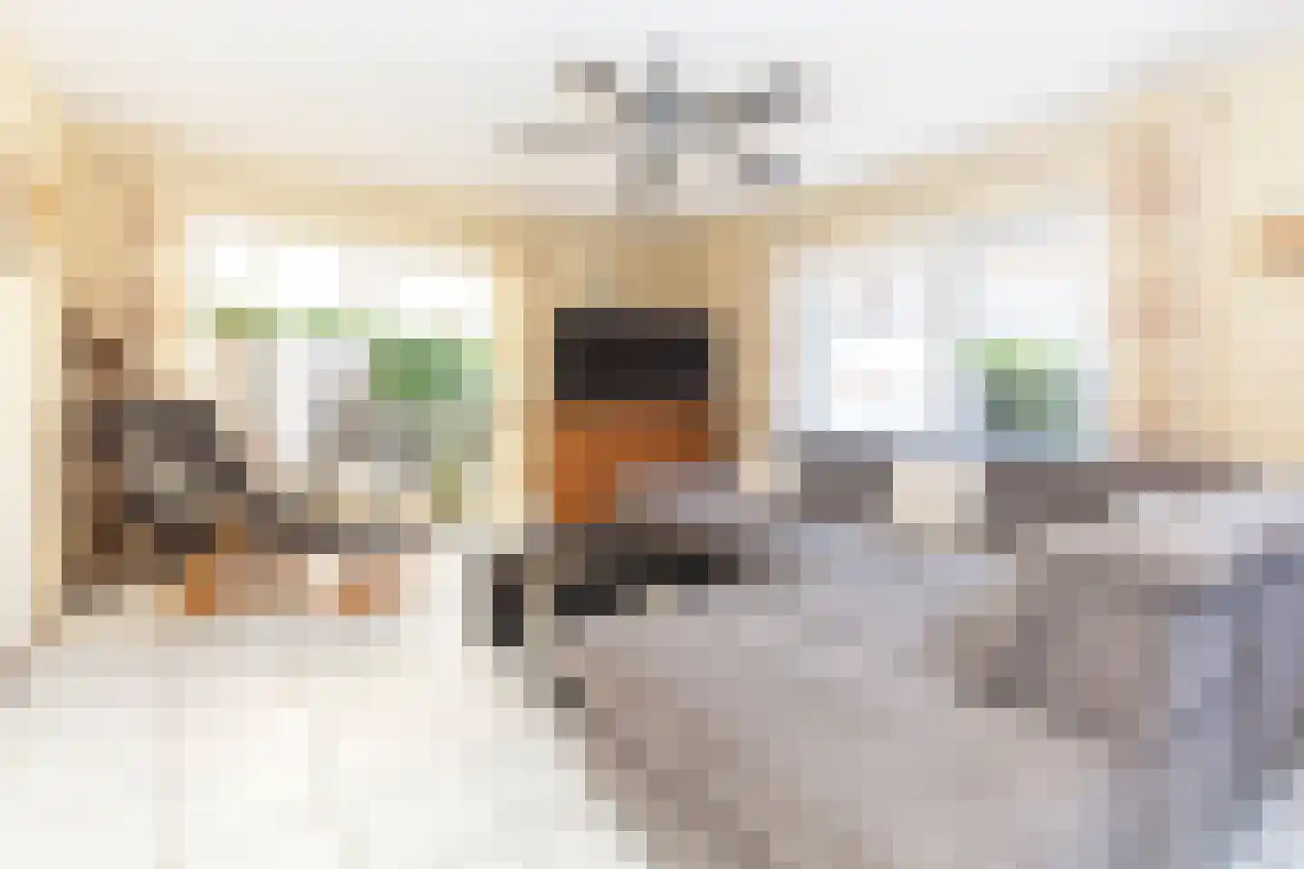 Noordzeepark-Mosselbank 75 Ouddorp thumbnail 10