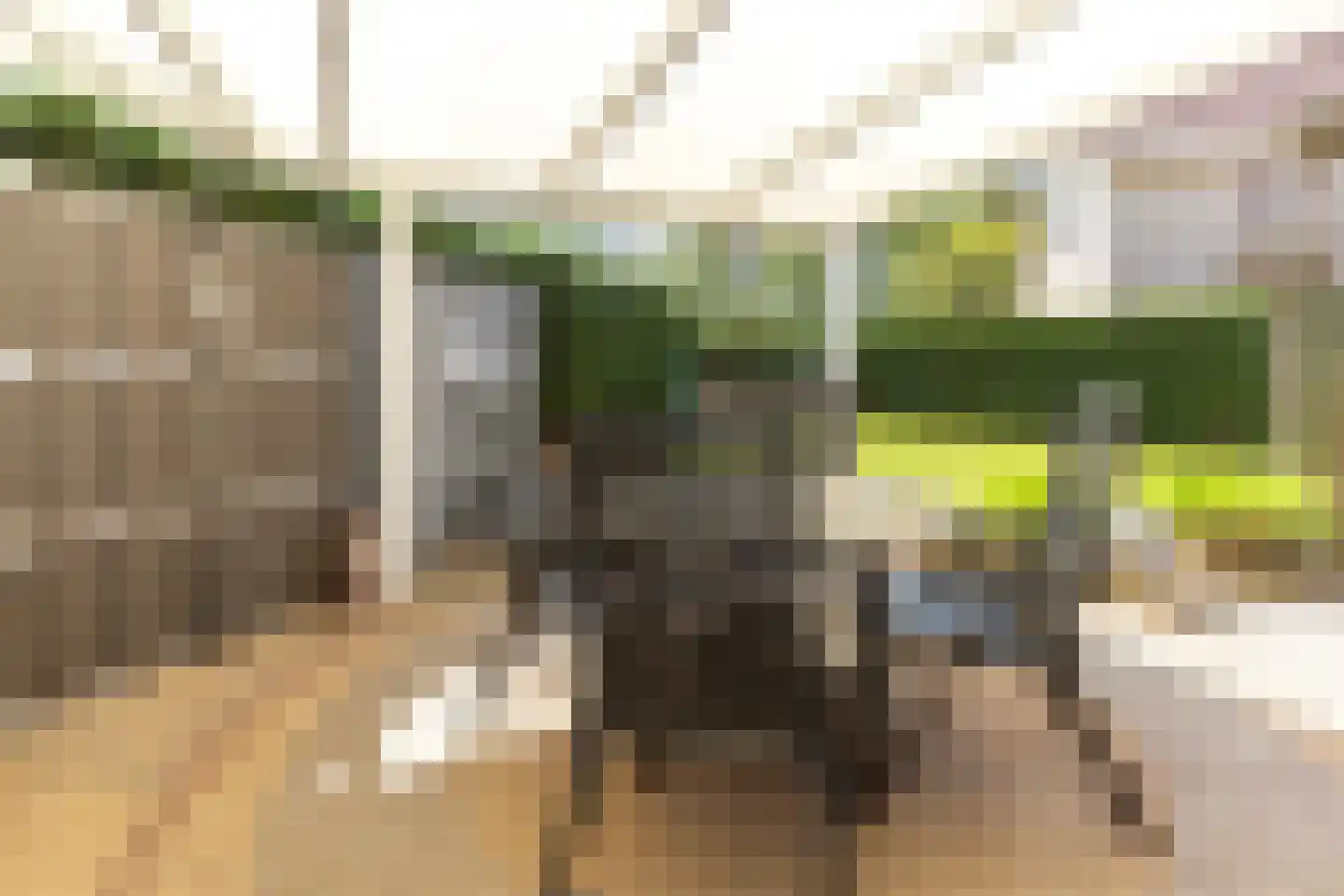 Noordzeepark-Mosselbank 75 Ouddorp thumbnail 12