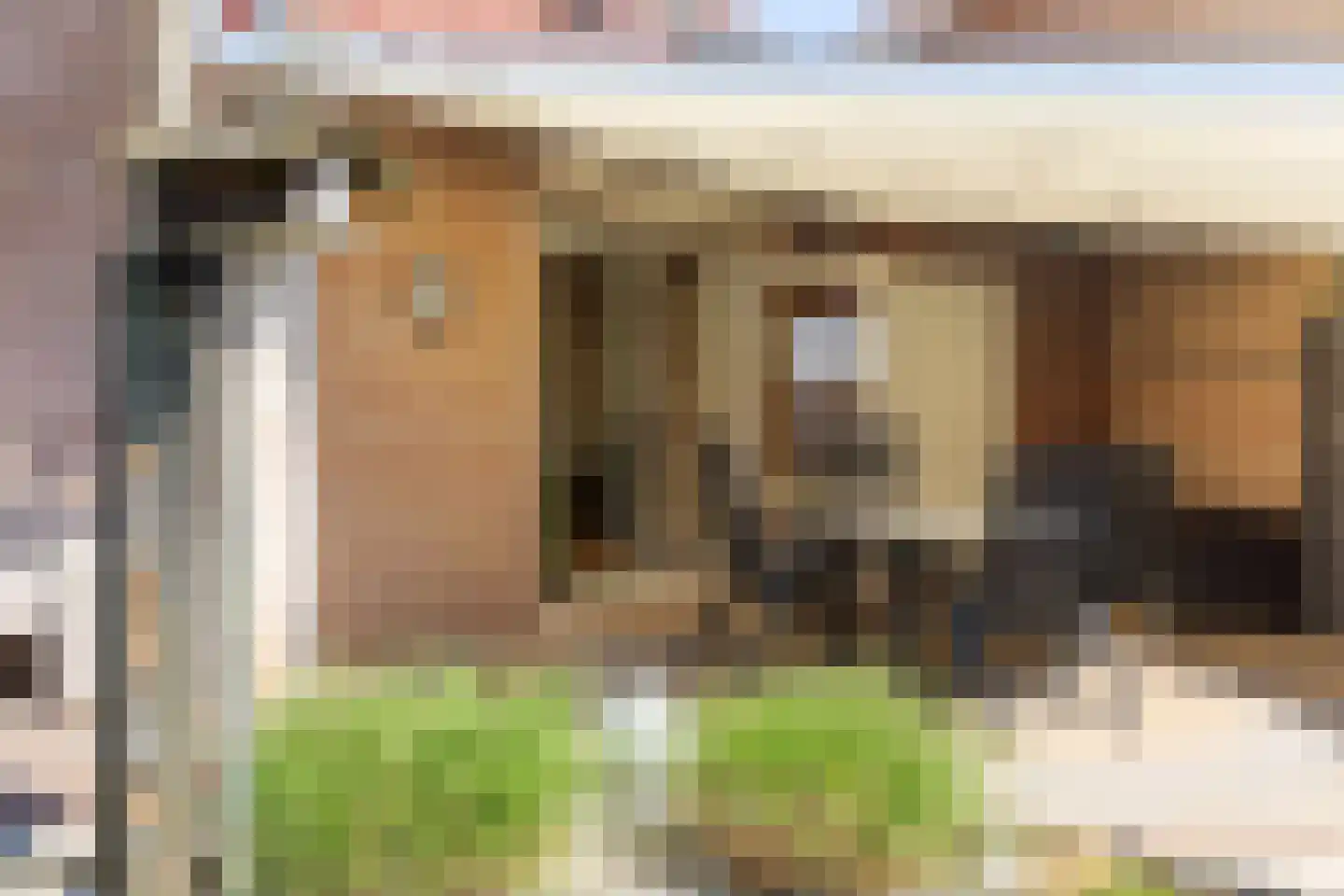 Noordzeepark-Mosselbank 75 Ouddorp thumbnail 28