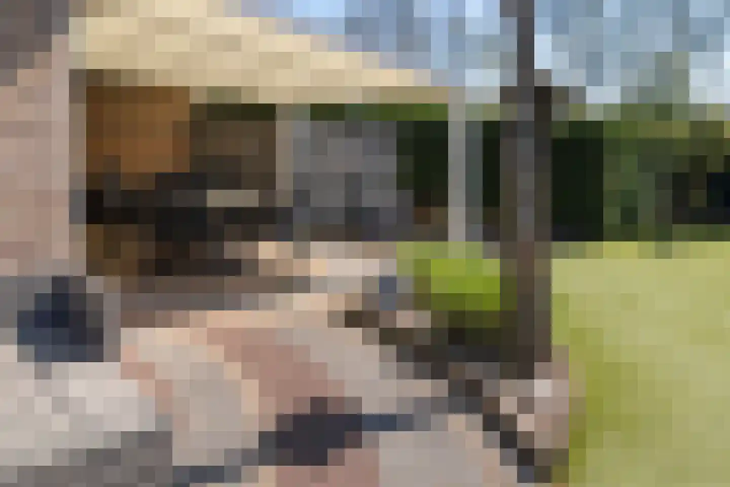 Noordzeepark-Mosselbank 75 Ouddorp thumbnail 5