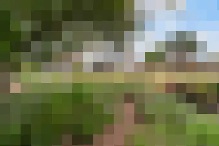 Noordzeepark-Oosterplaat 26 Ouddorp thumbnail 35
