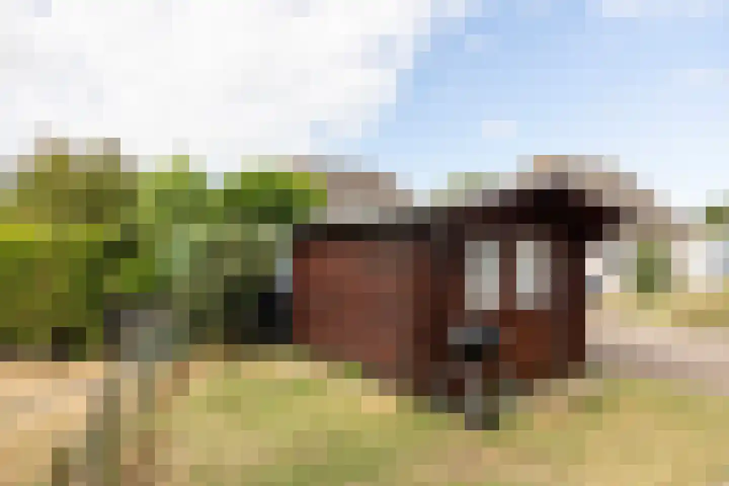 Noordzeepark-Zuiderdiep 31 Ouddorp thumbnail 24