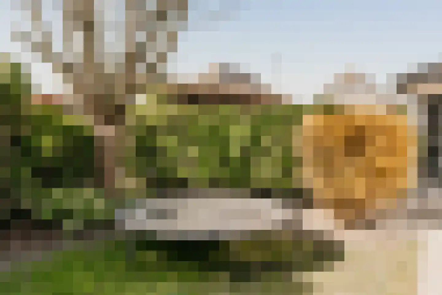 Noordzeepark-Zuiderdiep 35 Ouddorp thumbnail 32