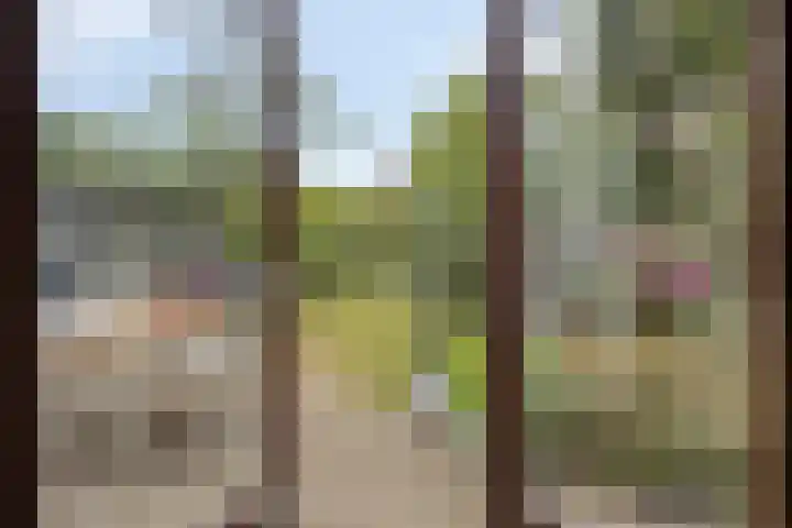 Noordzeepark-Zuiderdiep 9 Ouddorp thumbnail 23