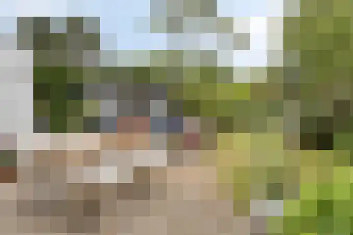 Noordzeepark-Zuiderdiep 9 Ouddorp thumbnail 26