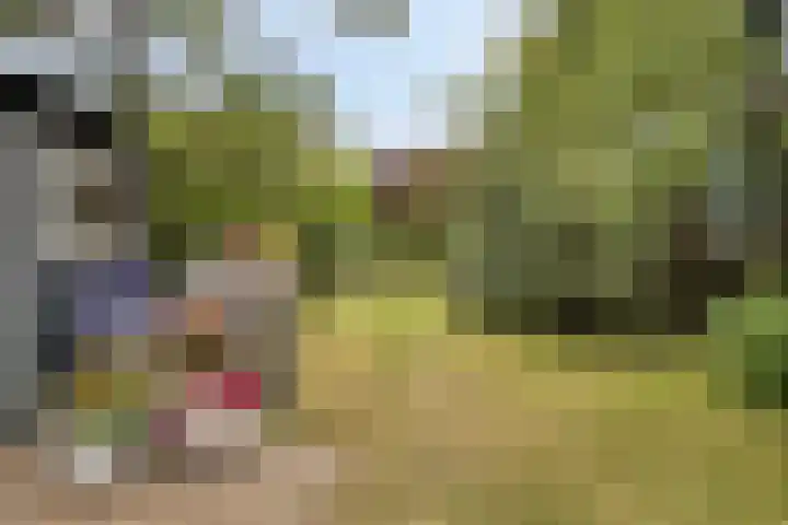 Noordzeepark-Zuiderdiep 9 Ouddorp thumbnail 27
