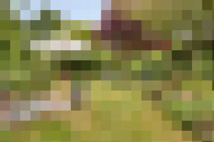 Noordzeepark-Zuiderdiep 9 Ouddorp thumbnail 28