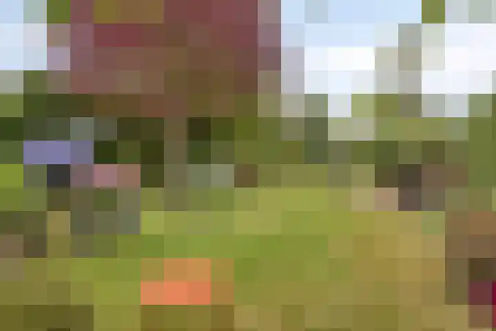 Noordzeepark-Zuiderdiep 9 Ouddorp thumbnail 29