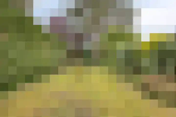 Noordzeepark-Zuiderdiep 9 Ouddorp thumbnail 30