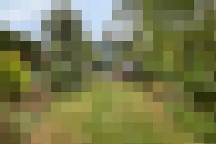 Noordzeepark-Zuiderdiep 9 Ouddorp thumbnail 32
