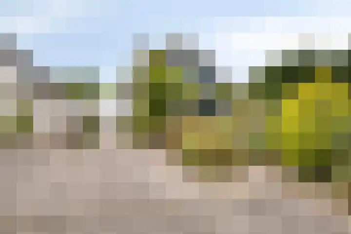 Noordzeepark-Zuiderdiep 9 Ouddorp thumbnail 33