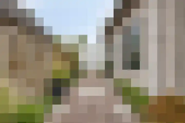 Noordzeepark-Zuiderdiep 9 Ouddorp thumbnail 34