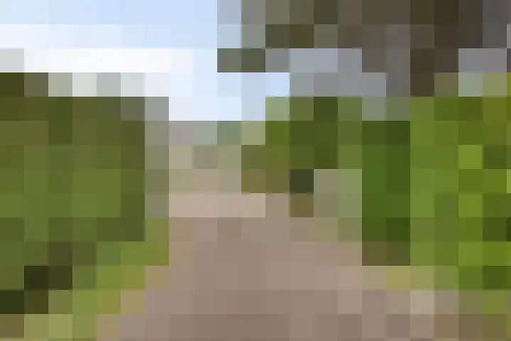 Noordzeepark-Zuiderdiep 9 Ouddorp thumbnail 35