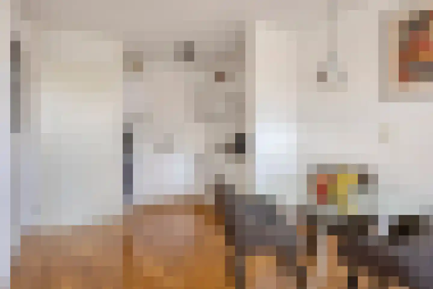 Noordzeepassage 46 Katwijk thumbnail 7