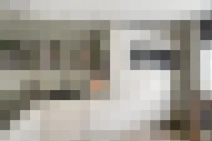 Noordzeepassage 9 Katwijk thumbnail 15