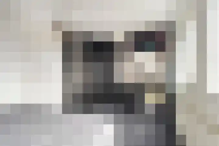 Noordzeepassage 9 Katwijk thumbnail 23
