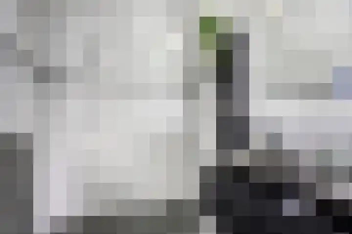 Noordzeepassage 9 Katwijk thumbnail 27