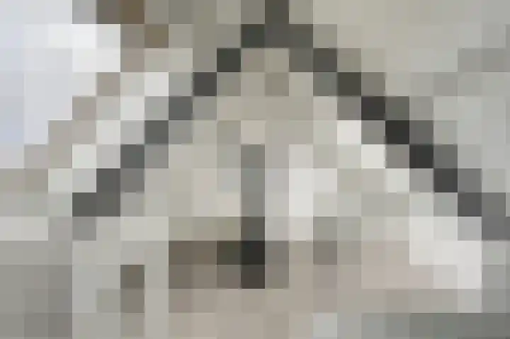 Noordzeepassage 9 Katwijk thumbnail 30