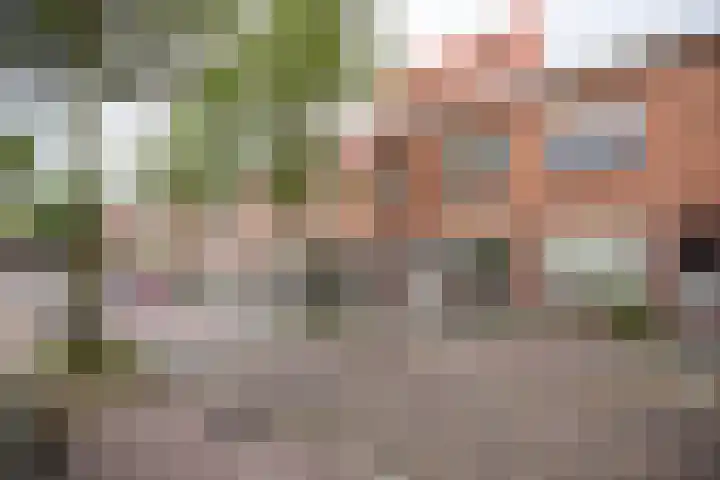 Noordzeestraat 19 Utrecht thumbnail 35