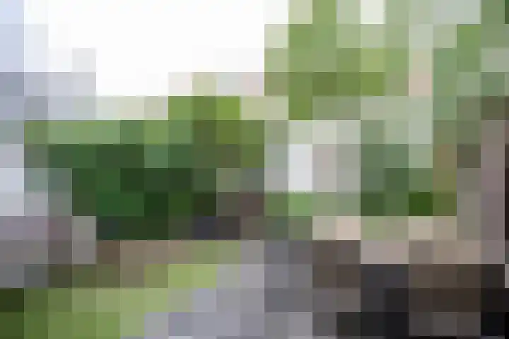 Noordzeestraat 19 Utrecht thumbnail 36