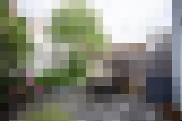 Noordzeestraat 19 Utrecht thumbnail 37