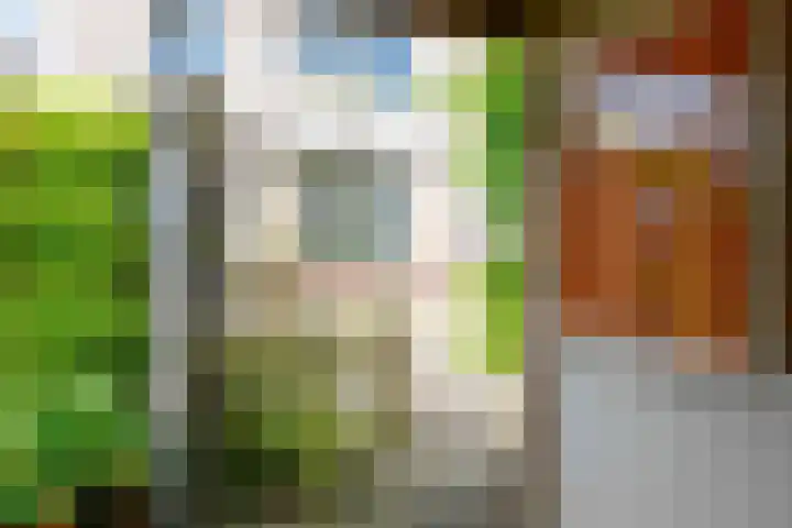 Noordzeestraat 44 Emmeloord thumbnail 13