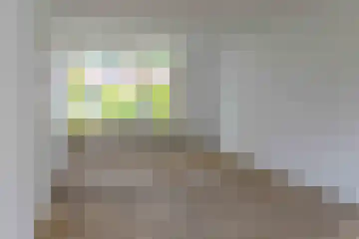 Noordzeestraat 44 Emmeloord thumbnail 15