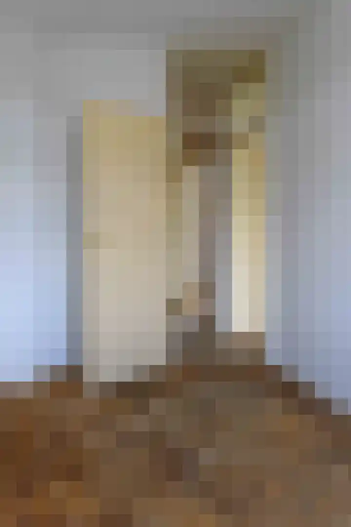 Noordzeestraat 44 Emmeloord thumbnail 30