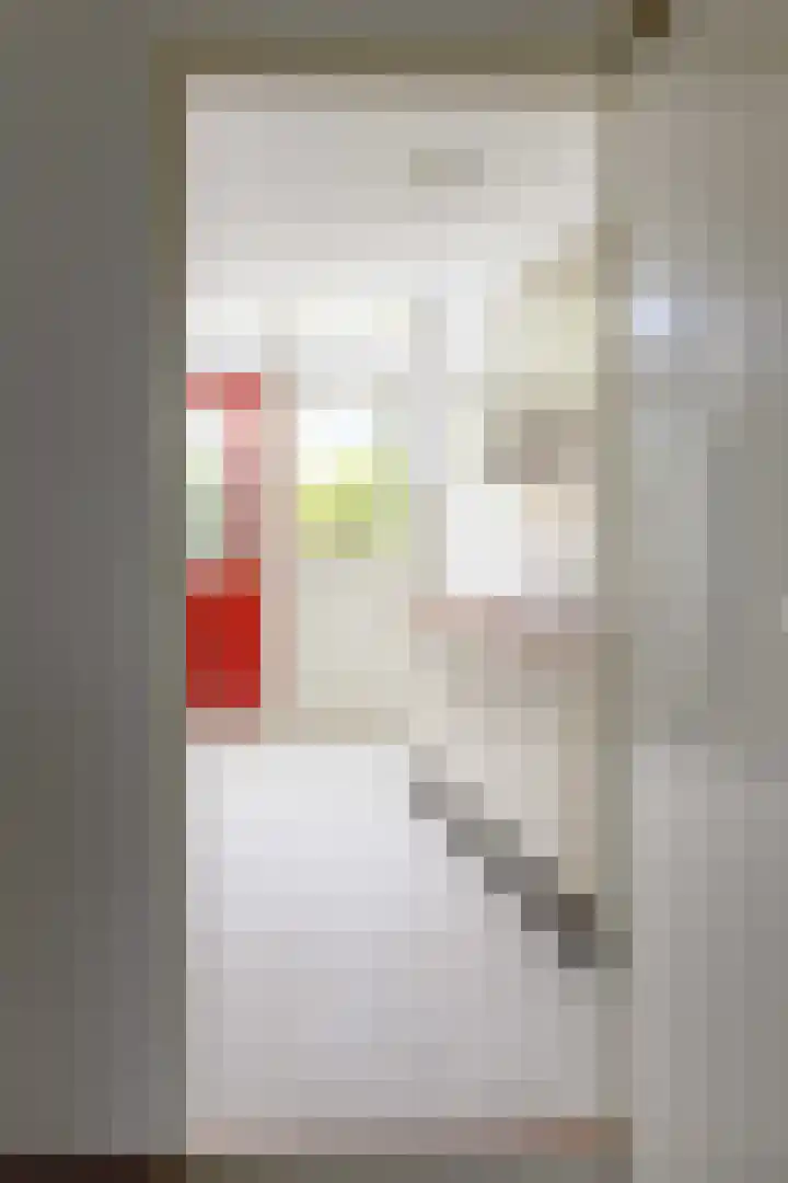 Noordzeestraat 44 Emmeloord thumbnail 5