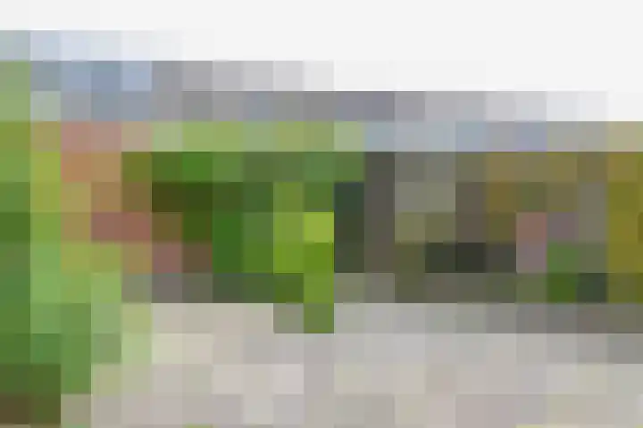Noordzeestraat 44 Emmeloord thumbnail 8