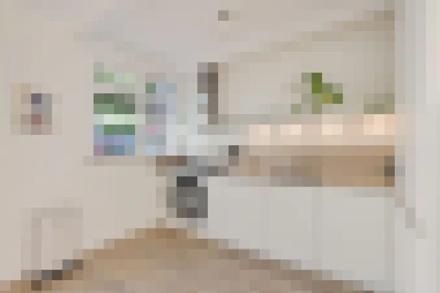 Noordzeestraat 5 Utrecht thumbnail 10